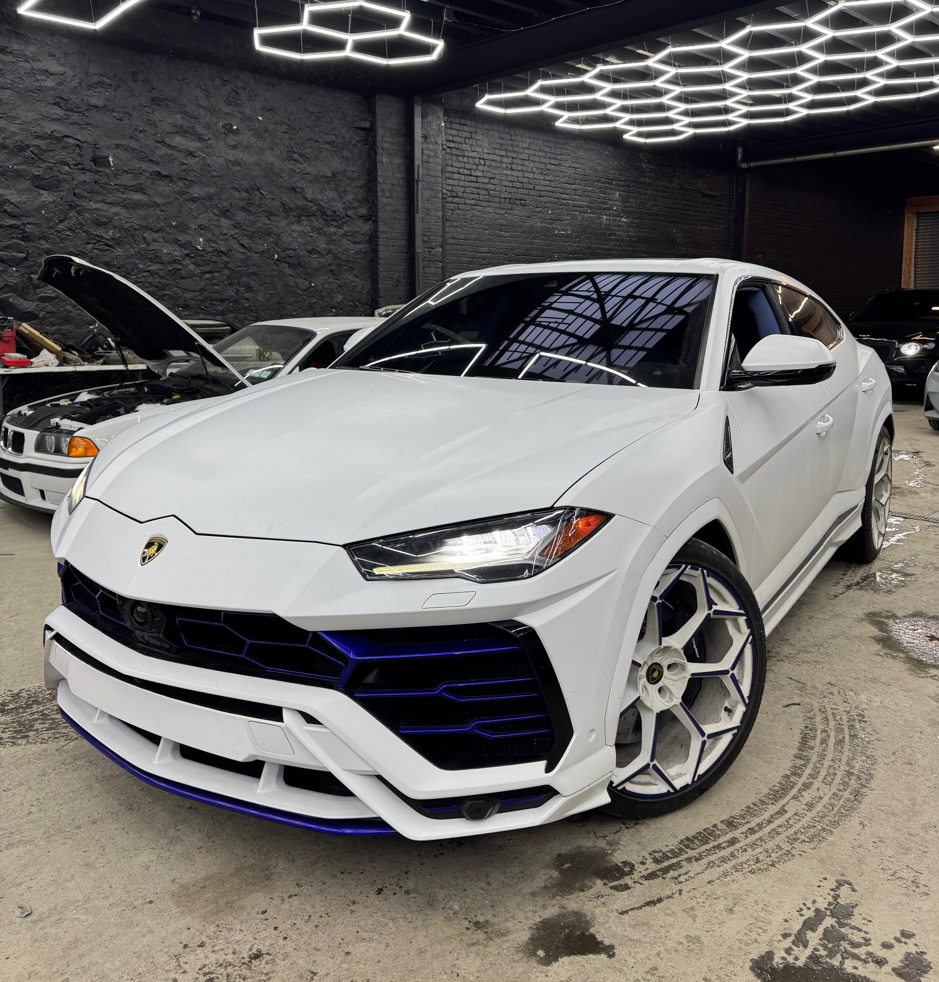 Lamborghini Urus White