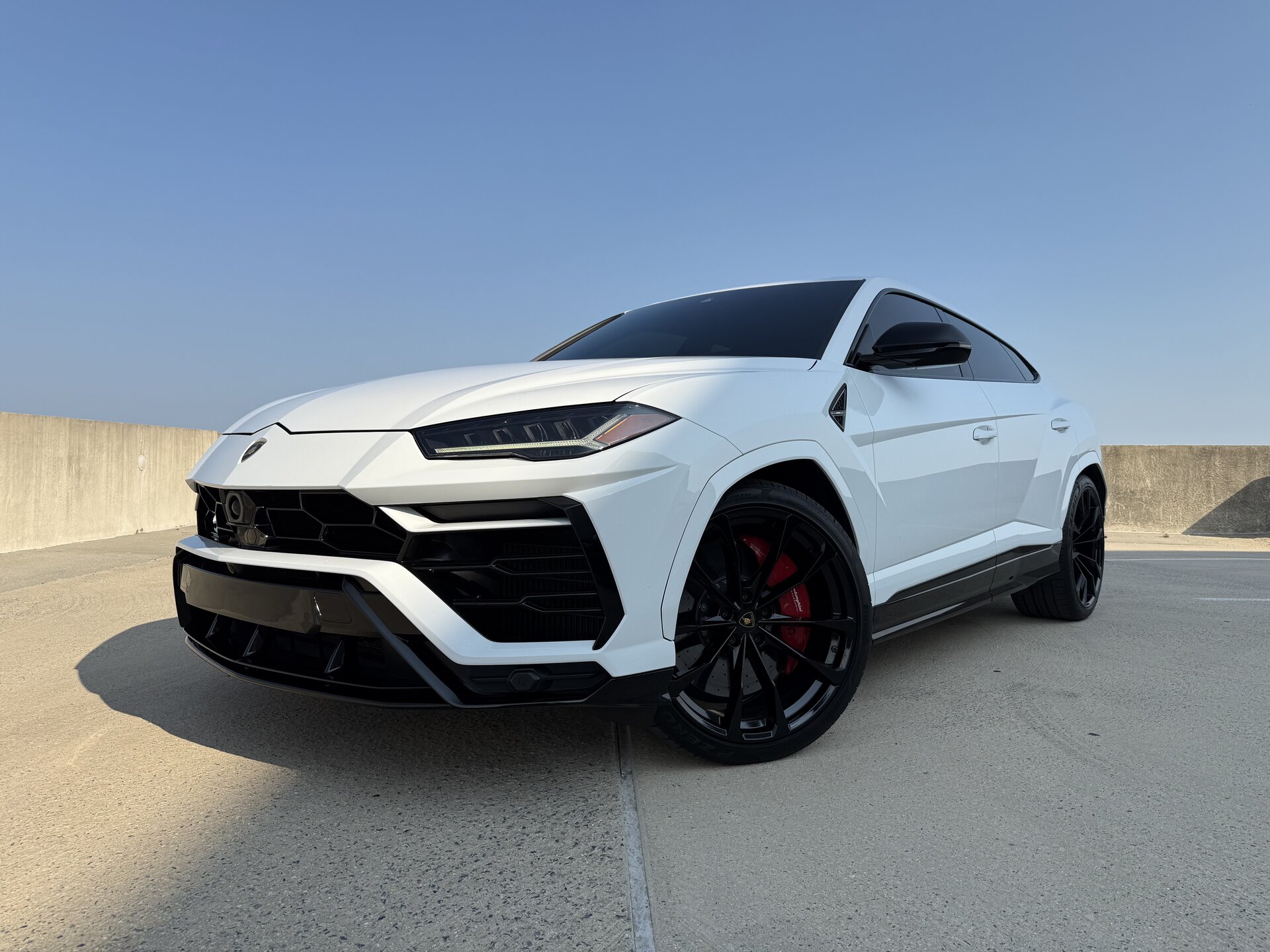 Lamborghini Urus White