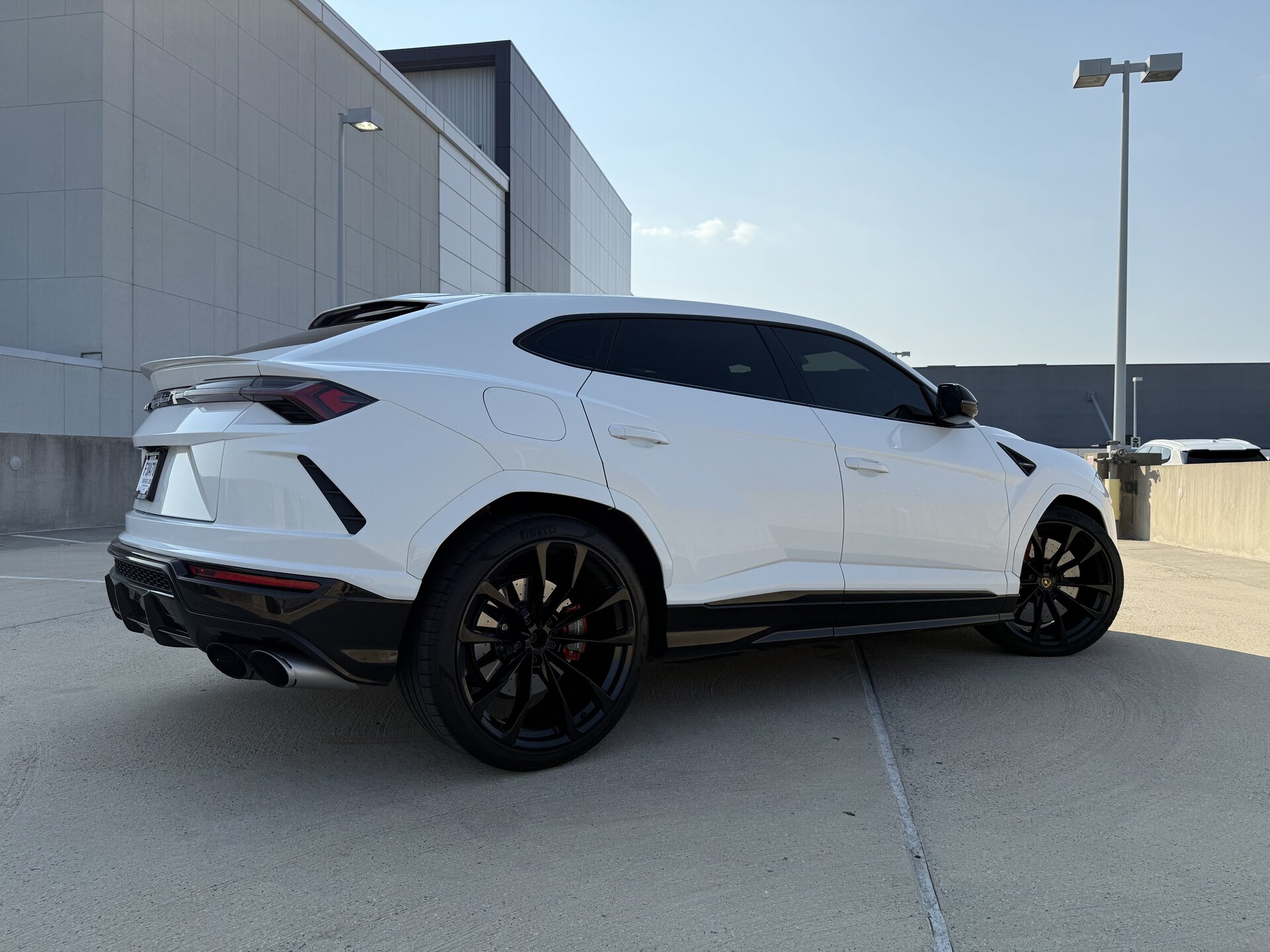 Lamborghini Urus White